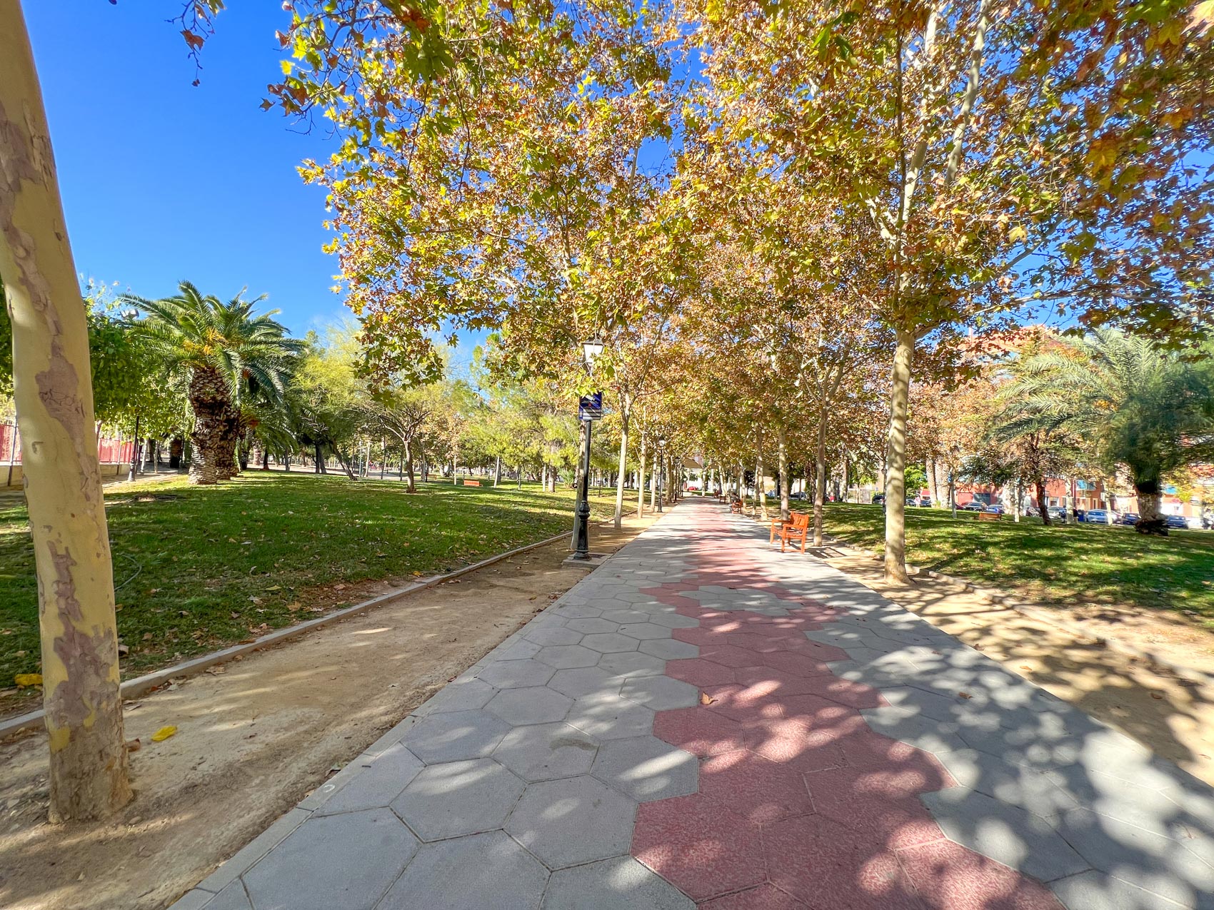 Jardín de las 3 copas en la Flota (Murcia)